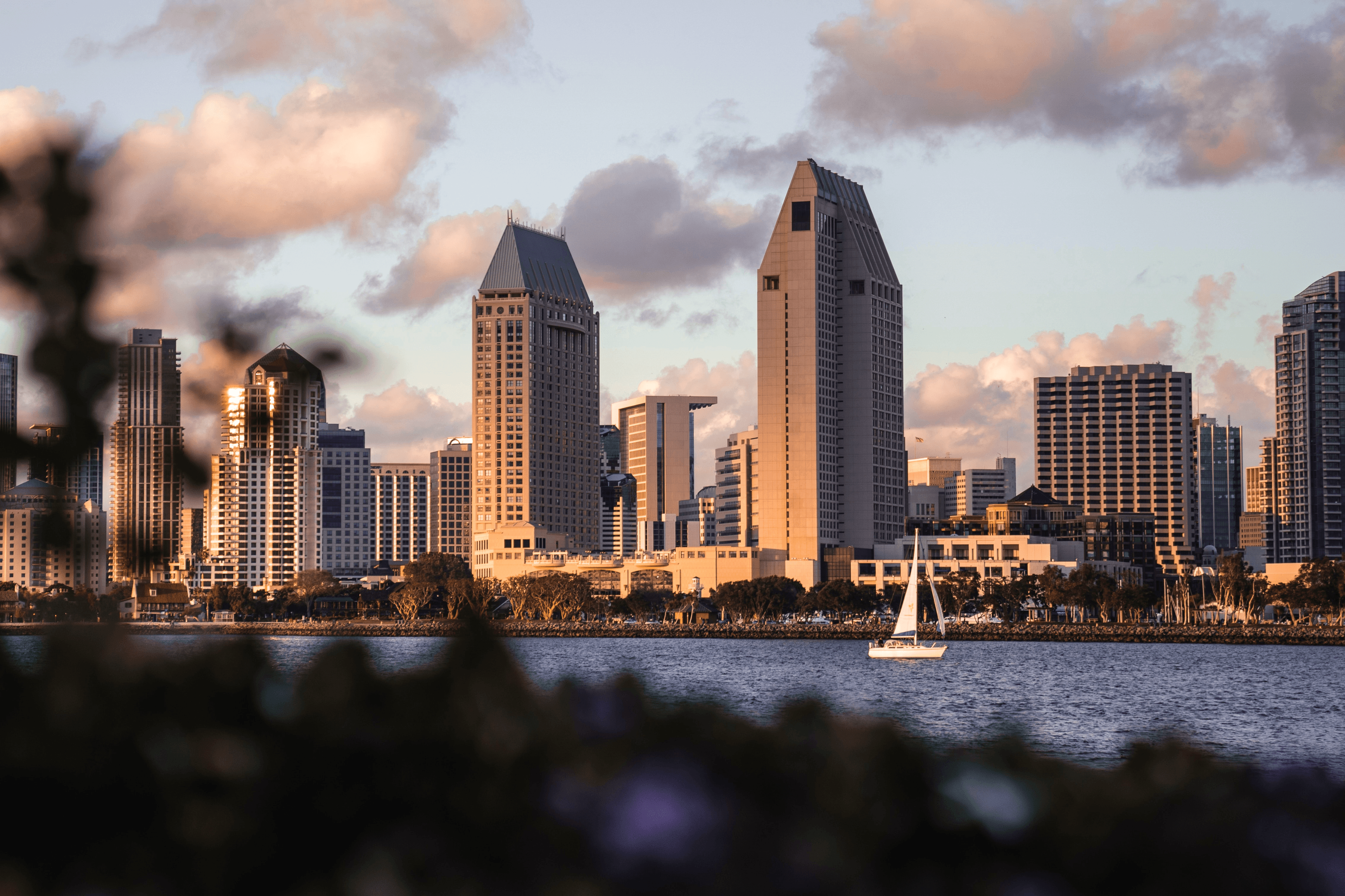 San Diego Skyline